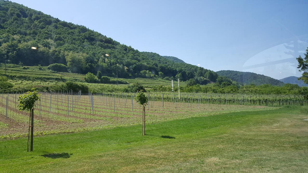 Gasthof Zur Wachau Hofarnsdorf Kültér fotó